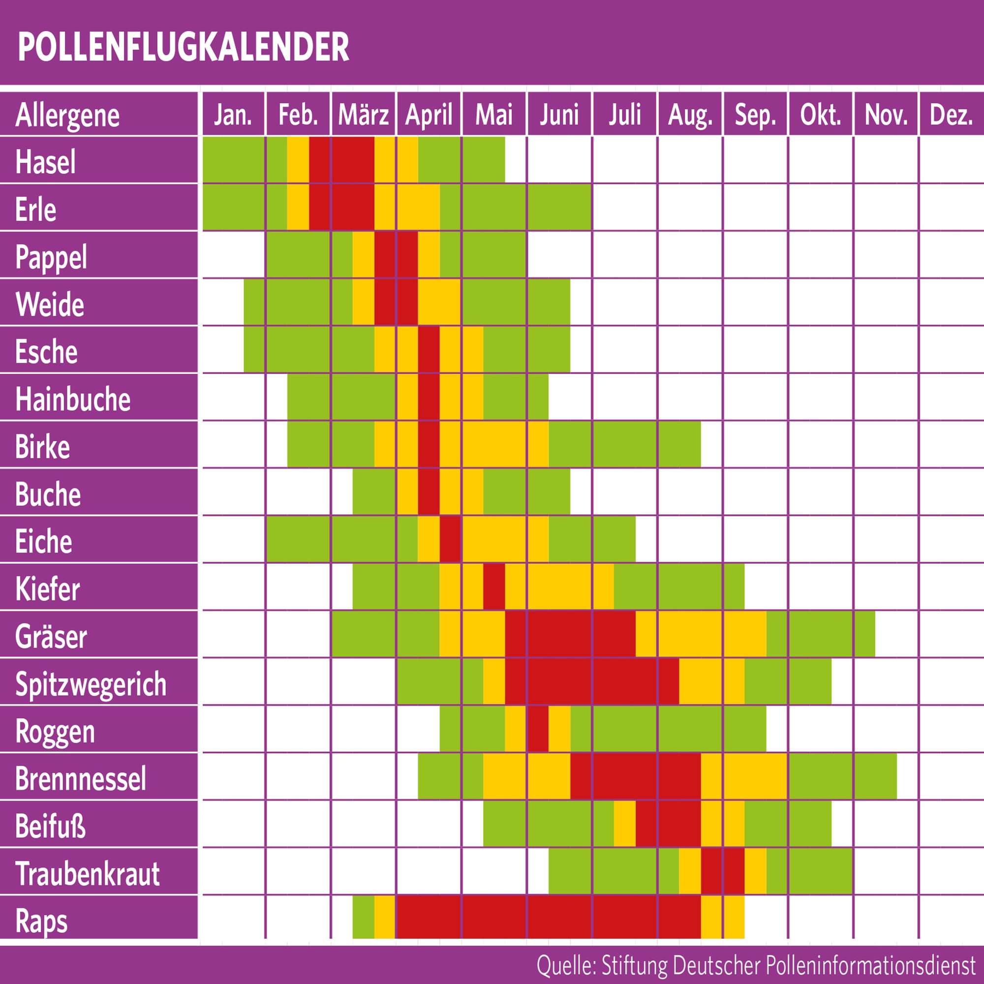 1611-000 IS-Pollenschutz-Gewebe Fenster 130 x 150 cm anthrazit ALLERGICpro mit Klettband