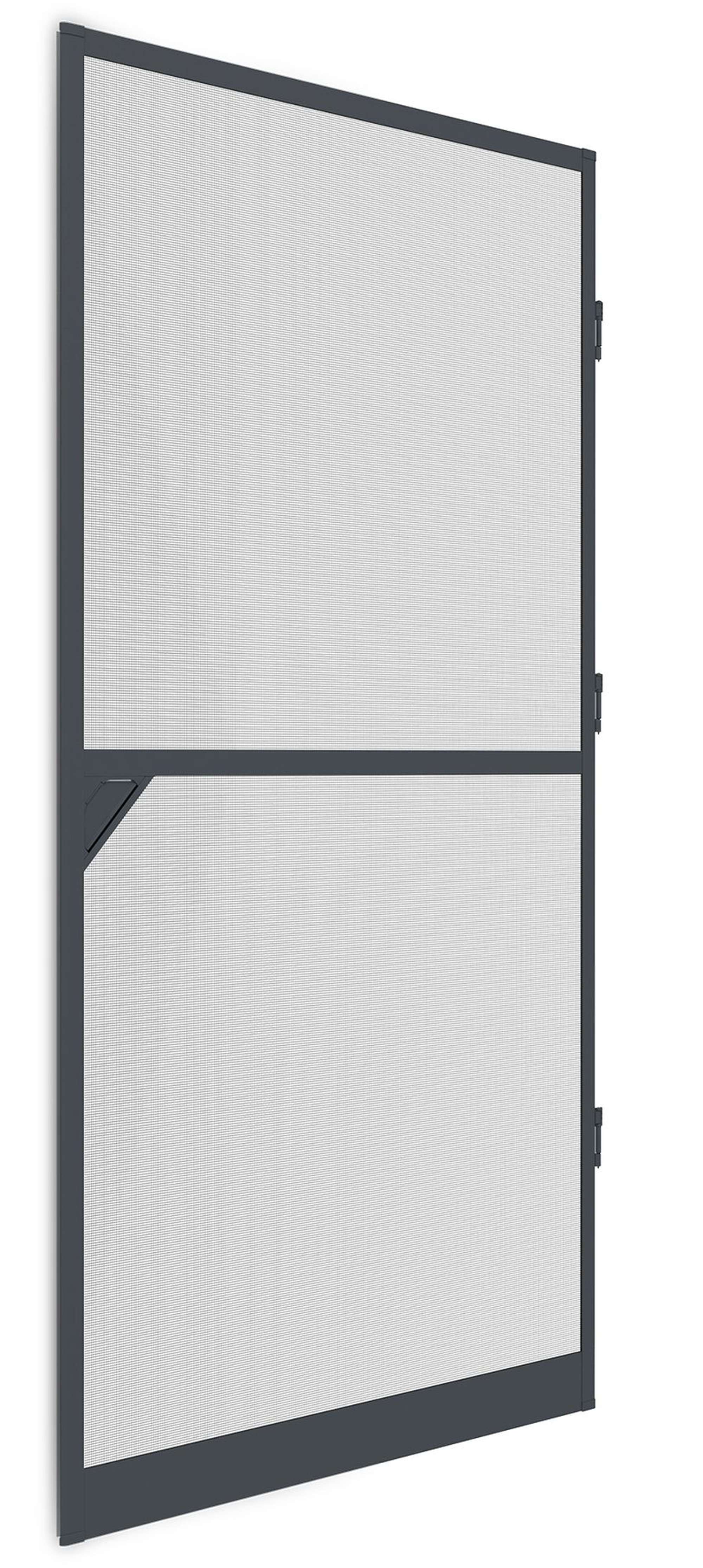 002-2544-PARENT IS-Alu-Tür 100 x 210 cm proLINE 2.1