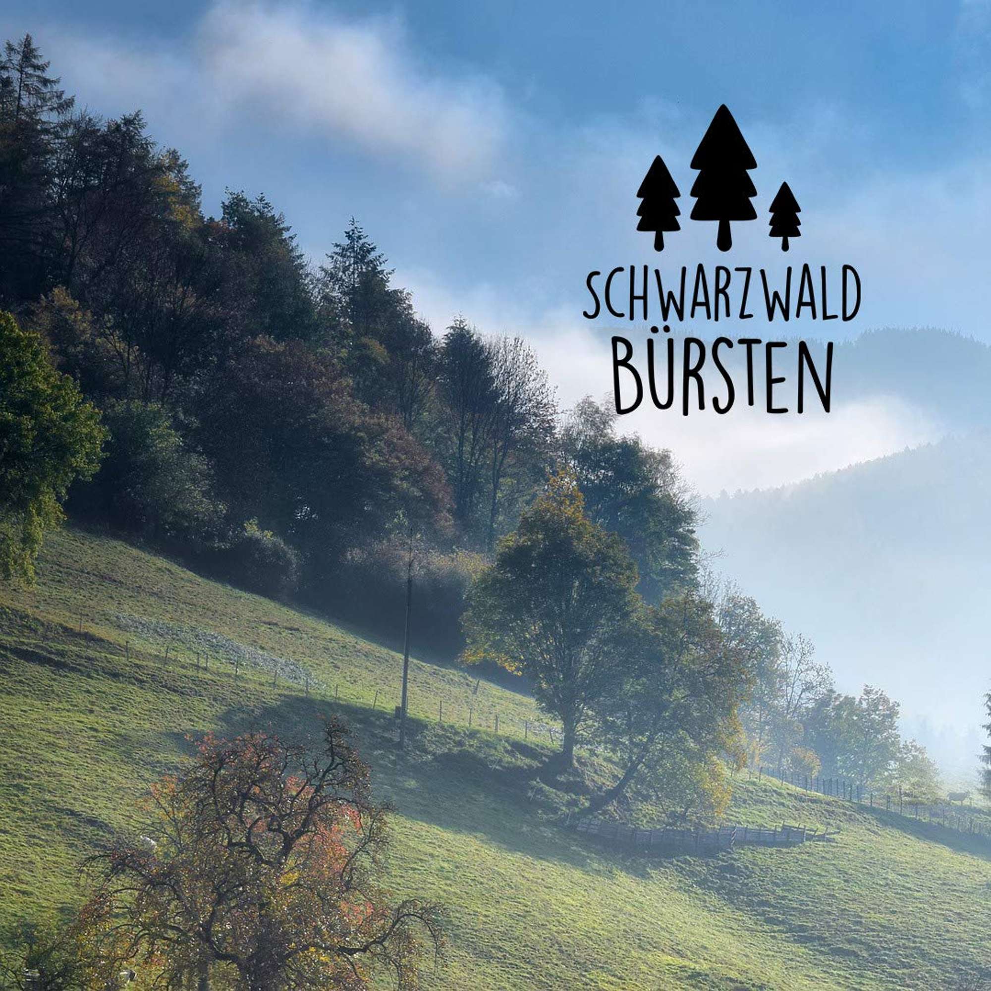 B1006-000 gws Hundekratzer / Tierkamm