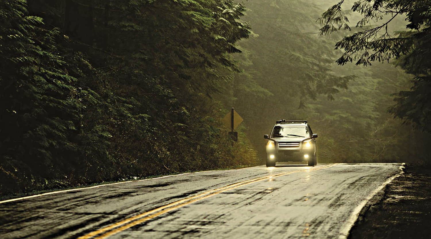 WEDO Nachtsichtbrille schwarz, Polarized gelb getönt